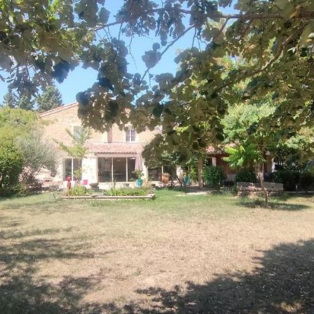 オランジュ Domaine De La Violette Bed & Breakfast エクステリア 写真